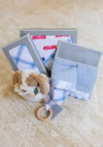 Welcome Baby Boy - Firetruck & Blue Plaid - Image 3
