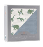 Granite Green Dinosaurs and Blue Fog Cotton Newcastle Blanket - Image 2